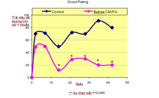 bao-cao-novation-hieu-qua-su-dung-butirexV4/CFA-uc-che-vi-khuan-Salmonella