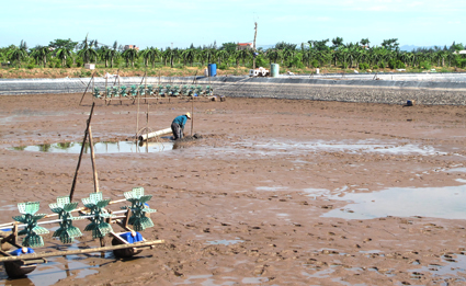 ky-thuat-nuoi-tom-the-chan-trang-tren-vung-dam