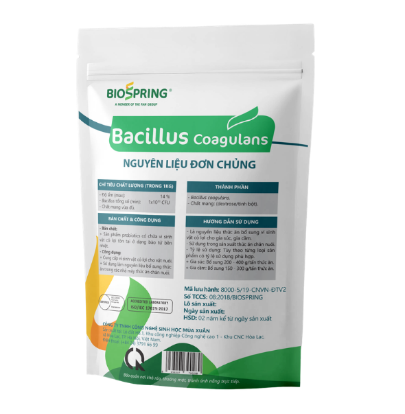 Bacillus Coagulans