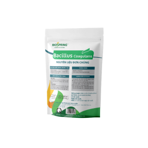 Nguyên Liệu Bacillus Coagulans