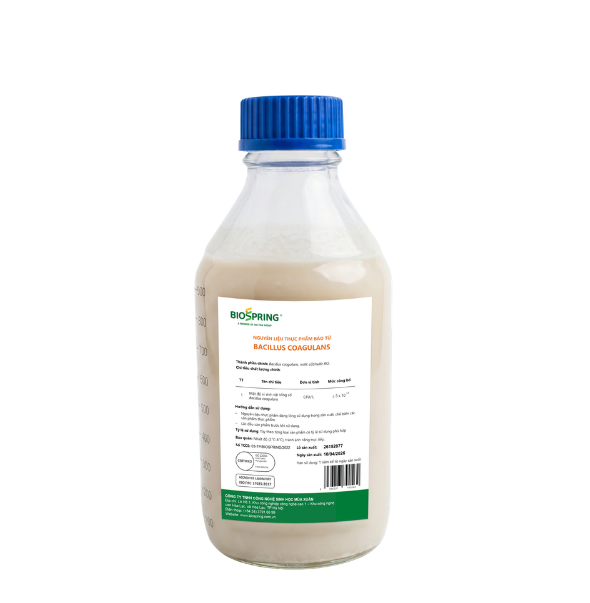 Bacillus Coagulans - Ảnh 2