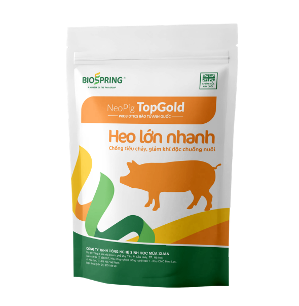 NeoPig TopGold