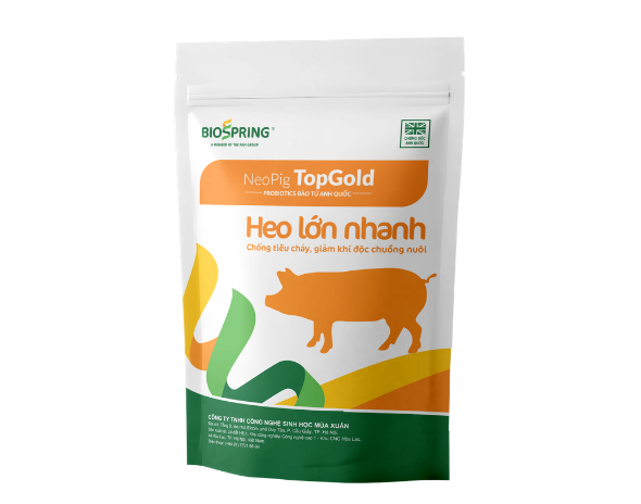 NeoPig TopGold