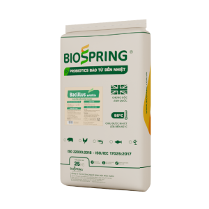 bào tử bacillus subtilis
