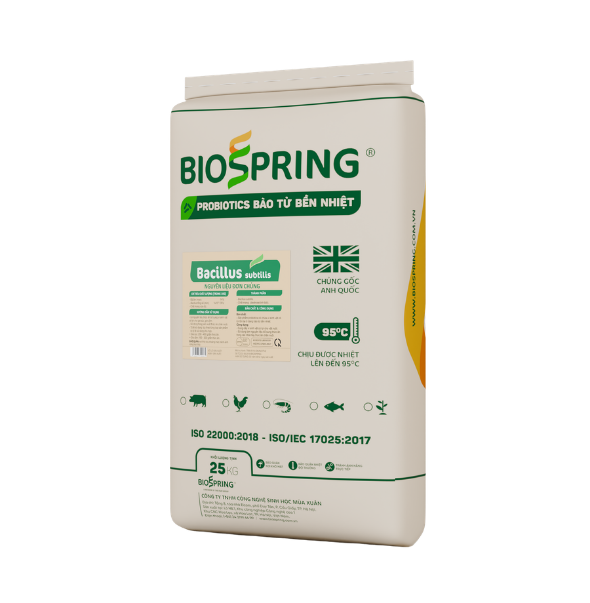 bào tử bacillus subtilis