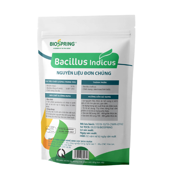 nguyen lieu bacillus indicus