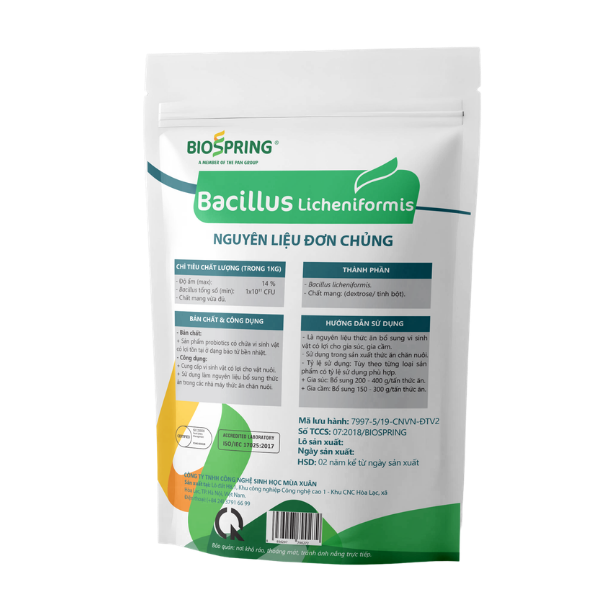 Bacillus Licheniformis