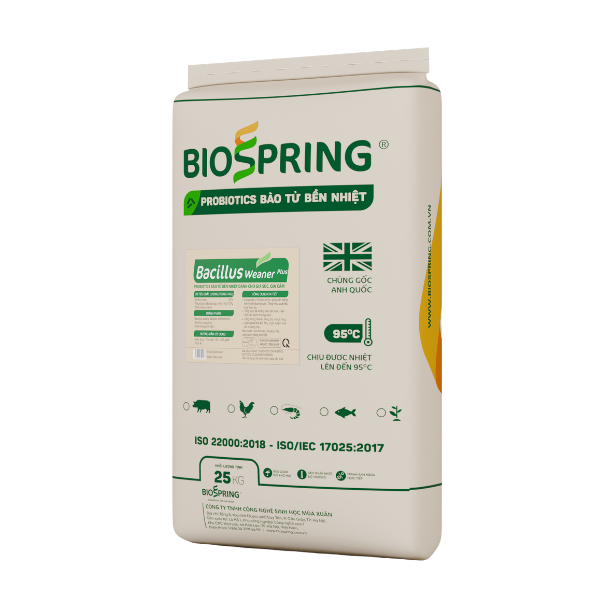 BACILLUS WEANER PLUS Thức ăn bổ sung vi sinh vật có lợi dành cho gia súc, gia cầm